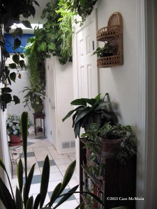 plants hallway1